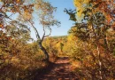 Where-to-Find-Vibrant-Landscapes-in-Autumn