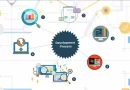 Why It Is Better To Entrust Web Application Development To A Professional Studio